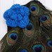 Newborn Baby Cute Girls Boys Peacock Feather Skirt   Lace Headband Crochet Photography Props Lace Costume